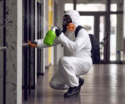 Best Mold Prevention Services in Whitemarsh Island, GA